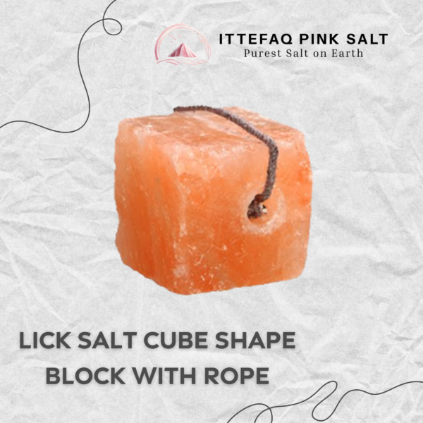 Cube Shape Lick Salt Block