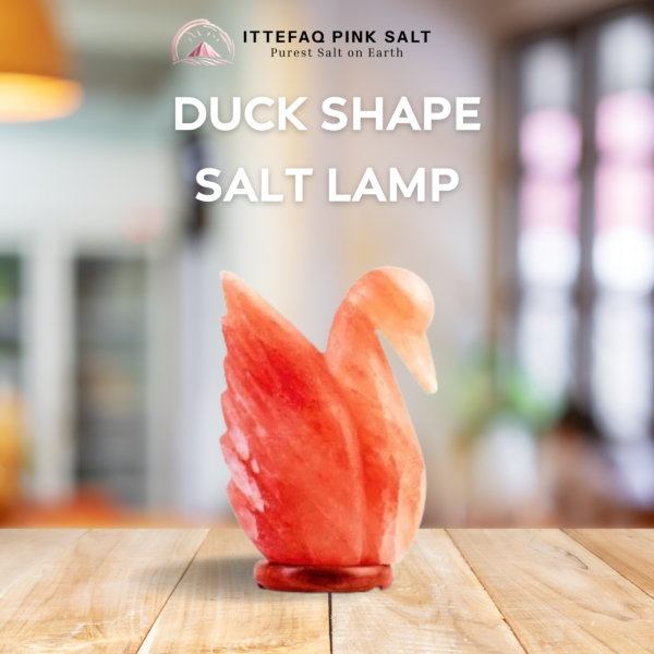 Duck Shape Salt Lamp